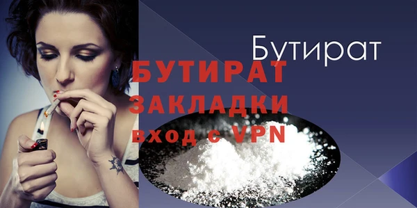 крисы Бородино