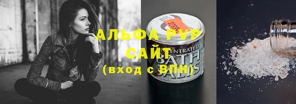 крисы Бородино