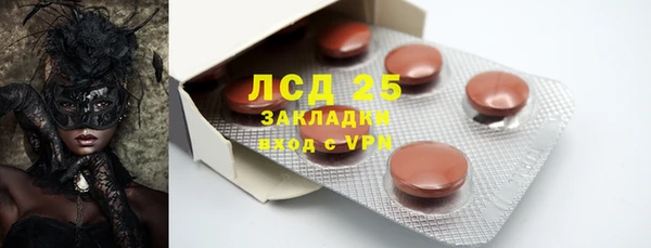 крисы Бородино