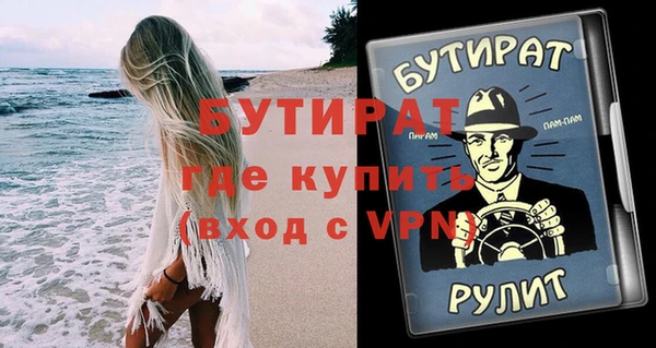 крисы Бородино