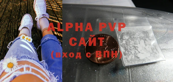 крисы Бородино