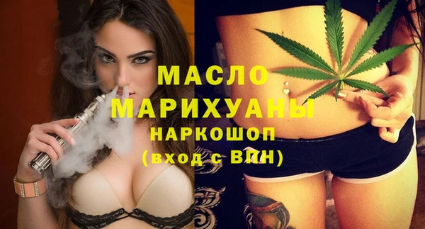 крисы Бородино