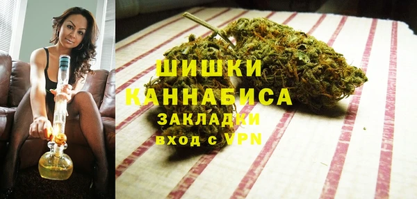 крисы Бородино