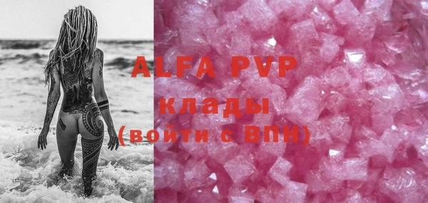 крисы Бородино