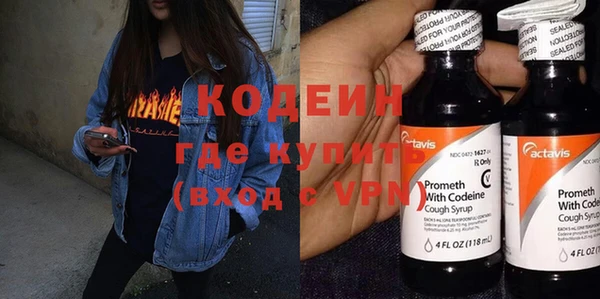 крисы Бородино