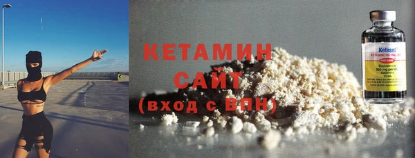 крисы Бородино