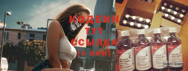 крисы Бородино