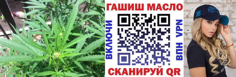 где можно купить наркотик  Махачкала  Дистиллят ТГК THC oil 